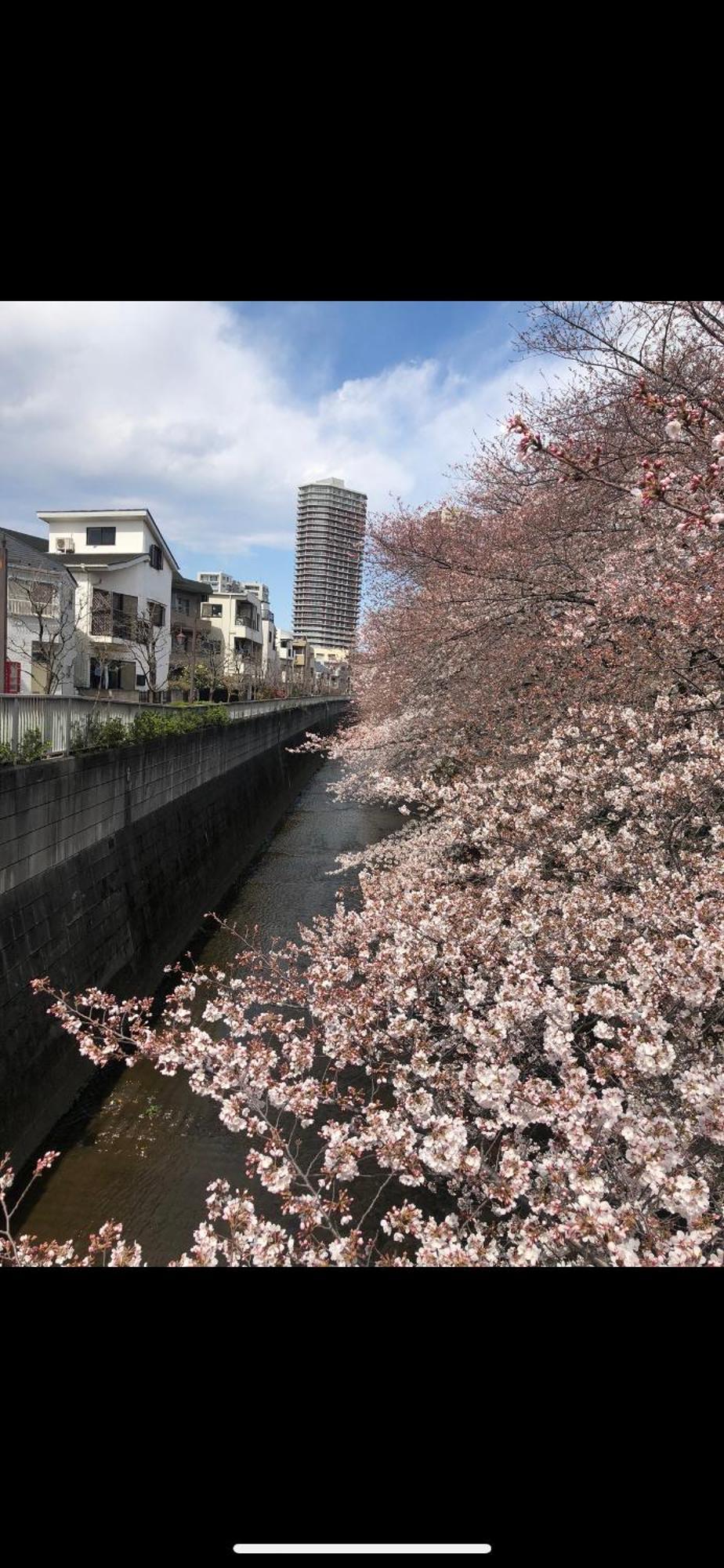 Apartamento 東京の港灣-tokyo Harbor -28 Square Meter King Size Garden *