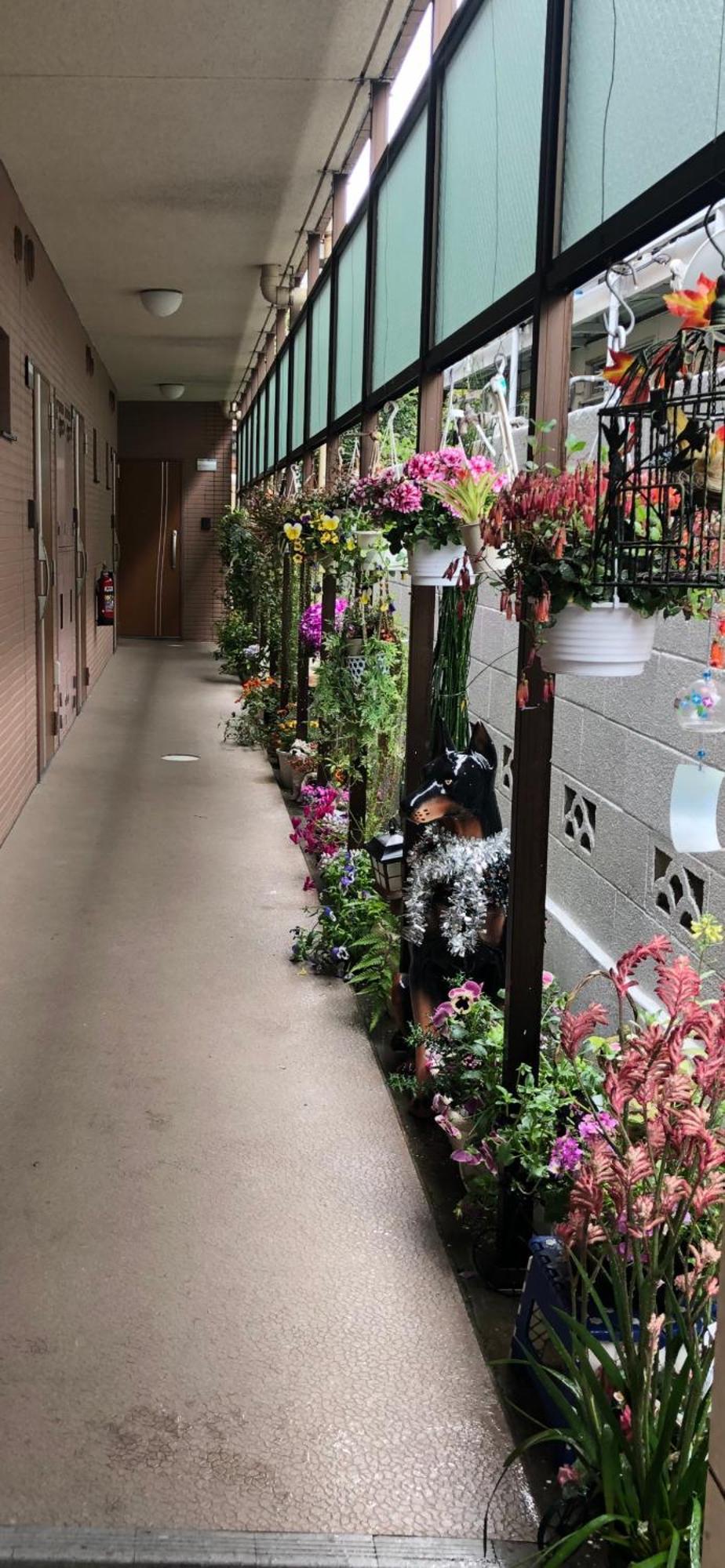 東京の港灣-tokyo Harbor -28 Square Meter King Size Garden Apartamento *